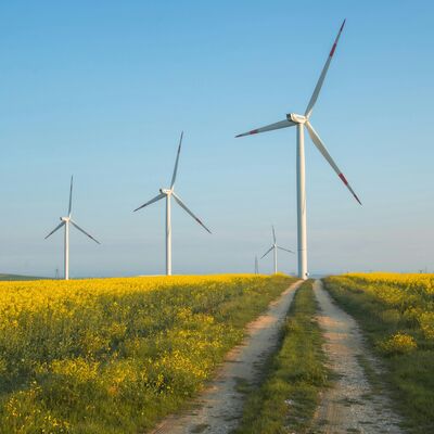 Windräder Rapsfeld