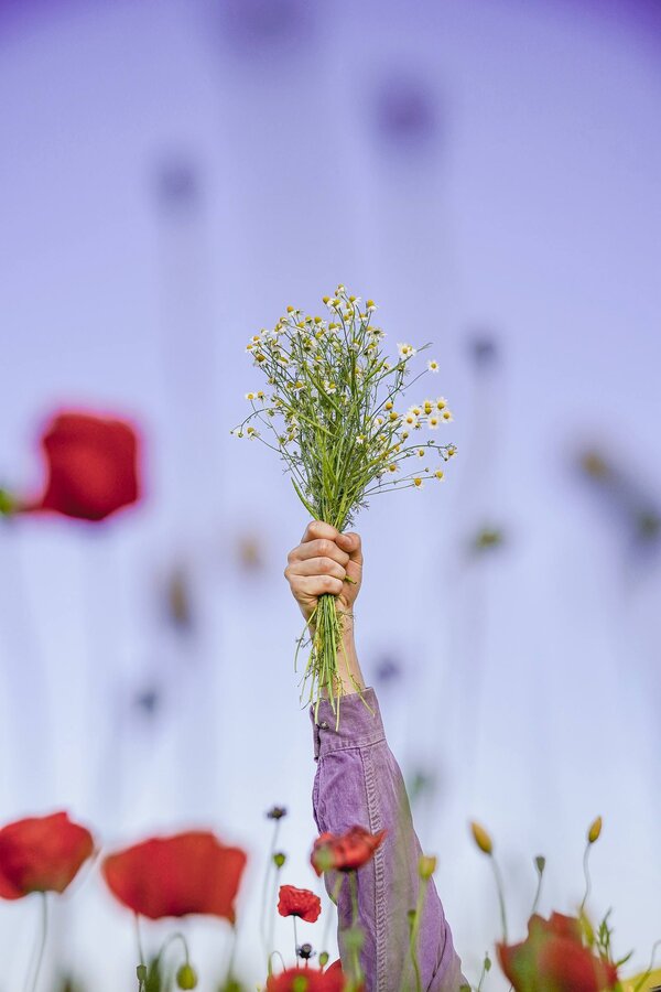 Bild vergr&ouml;&szlig;ern: photo_2026-01-12_20-37-04