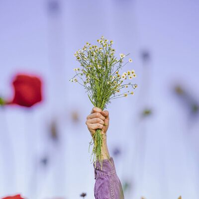 photo_2026-01-12_20-37-04