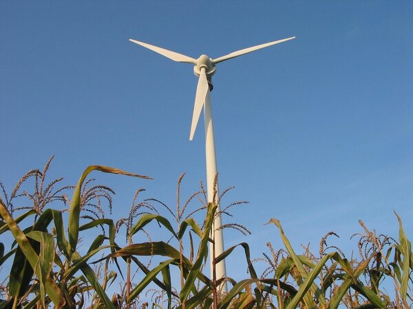 Bild vergr&ouml;&szlig;ern: beeki-windmill-41857_1280