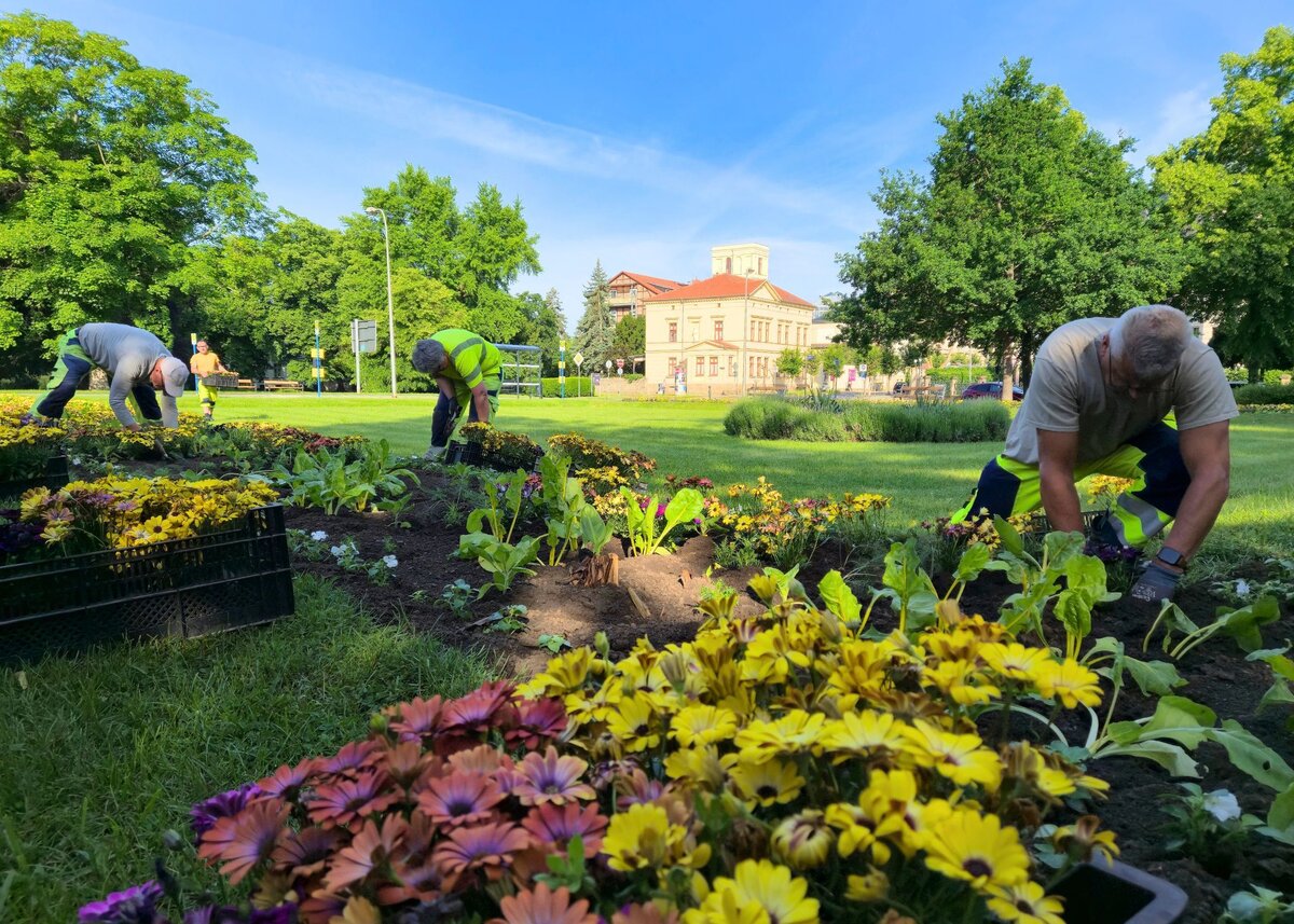 Sommerbeflanzung 2026 - Bauhof im Einsatz