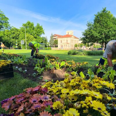Sommerbeflanzung 2026 - Bauhof im Einsatz