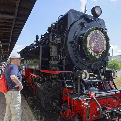 Bild vergr&ouml;&szlig;ern: Der beliebte Dixie-Train nach Silberh�tte rollt erneut durch das Selketal