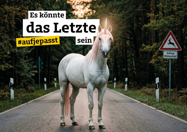 Bild vergr&ouml;&szlig;ern: Plakatmotiv der Kampagne aufjepasst